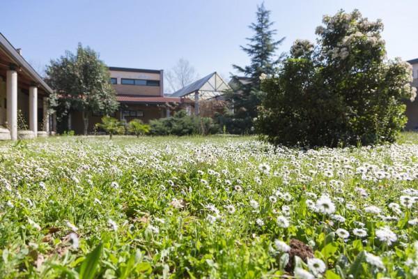 La Cordata Accommodation - Brodolini 24 Cinisello Balsamo Εξωτερικό φωτογραφία